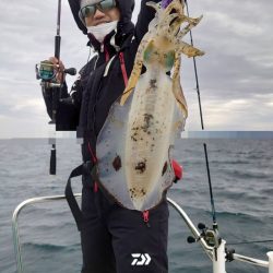 ソルトウォーターガイドフレンズ 釣果