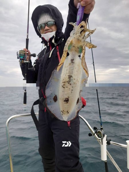 ソルトウォーターガイドフレンズ 釣果