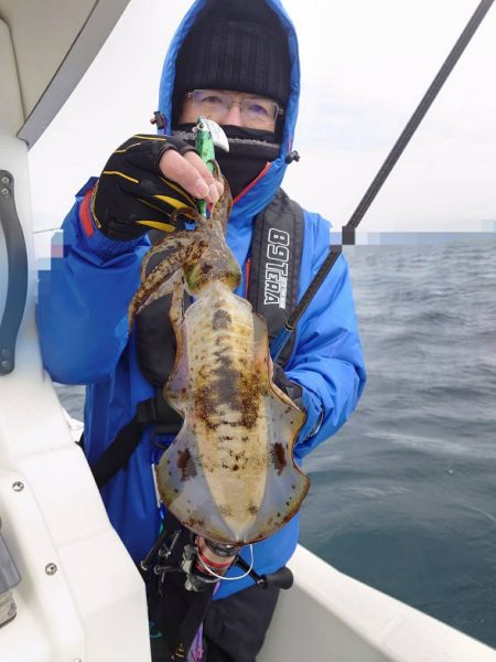 ソルトウォーターガイドフレンズ 釣果