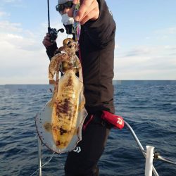 ソルトウォーターガイドフレンズ 釣果