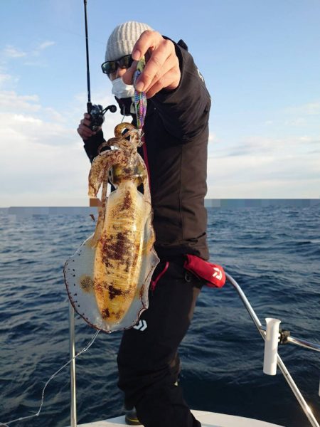 ソルトウォーターガイドフレンズ 釣果