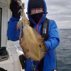 ソルトウォーターガイドフレンズ 釣果