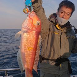 ARCADIAⅡ （アルカディアⅡ） 釣果