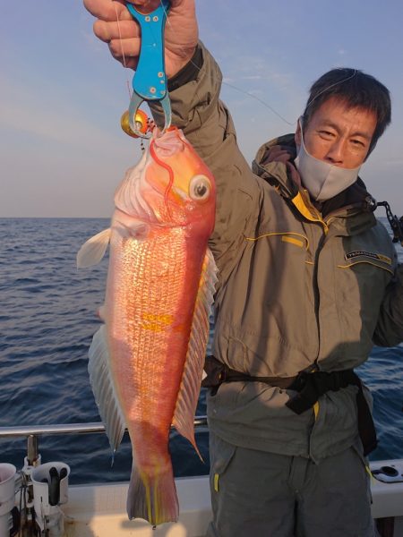 ARCADIAⅡ （アルカディアⅡ） 釣果