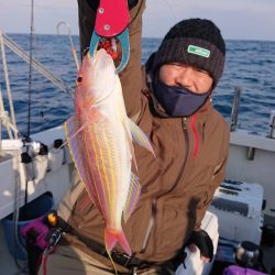 ARCADIAⅡ （アルカディアⅡ） 釣果