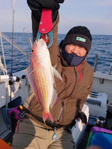 ARCADIAⅡ （アルカディアⅡ） 釣果