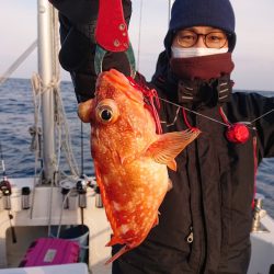 ARCADIAⅡ （アルカディアⅡ） 釣果