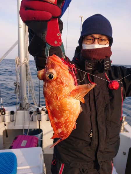 ARCADIAⅡ （アルカディアⅡ） 釣果