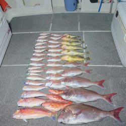 ARCADIAⅡ （アルカディアⅡ） 釣果