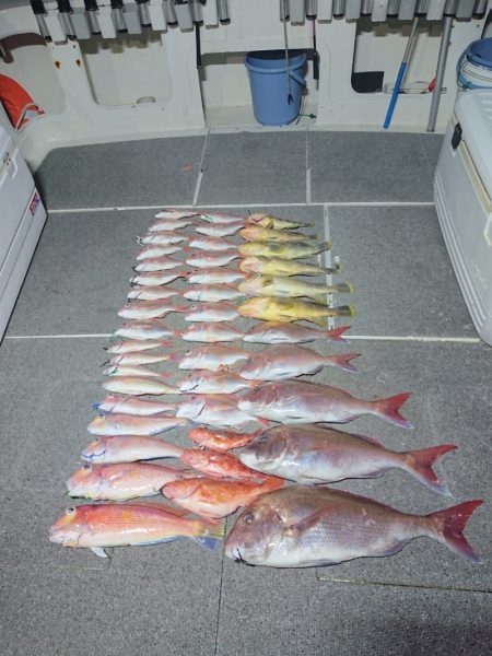 ARCADIAⅡ （アルカディアⅡ） 釣果