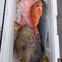 第二龍勢丸 釣果