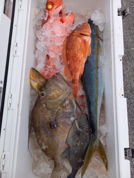 第二龍勢丸 釣果