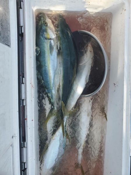 海龍丸(石川) 釣果