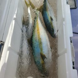 海龍丸(石川) 釣果