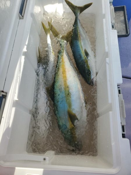 海龍丸(石川) 釣果