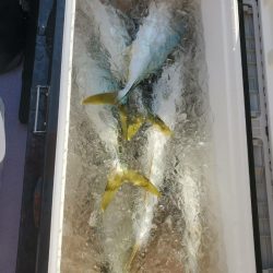 海龍丸(石川) 釣果