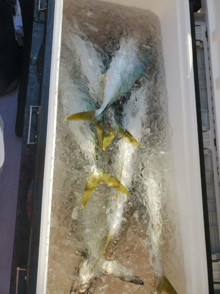 海龍丸(石川) 釣果