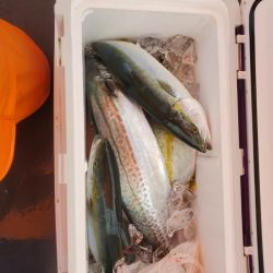 海龍丸(石川) 釣果