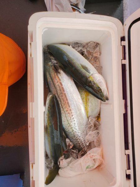 海龍丸(石川) 釣果