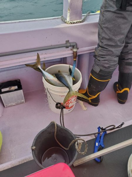 海龍丸(石川) 釣果