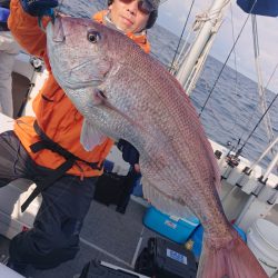 ARCADIAⅡ （アルカディアⅡ） 釣果