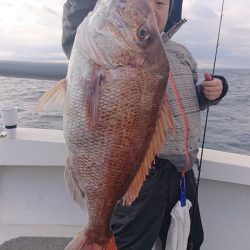 ARCADIAⅡ （アルカディアⅡ） 釣果