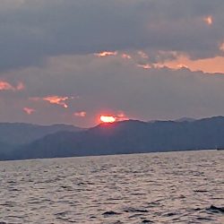 ARCADIAⅡ （アルカディアⅡ） 釣果