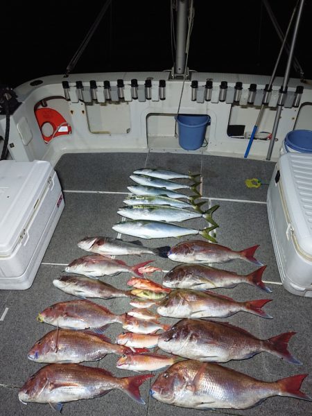 ARCADIAⅡ （アルカディアⅡ） 釣果