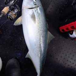 第二龍勢丸 釣果