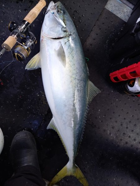 第二龍勢丸 釣果