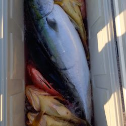 第二龍勢丸 釣果