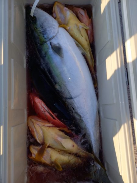 第二龍勢丸 釣果