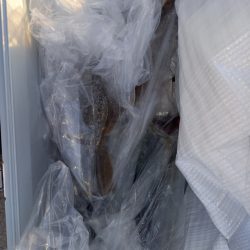 第二龍勢丸 釣果