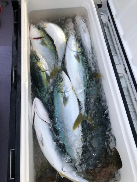 海龍丸（石川） 釣果