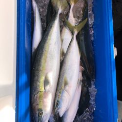 海龍丸(石川) 釣果