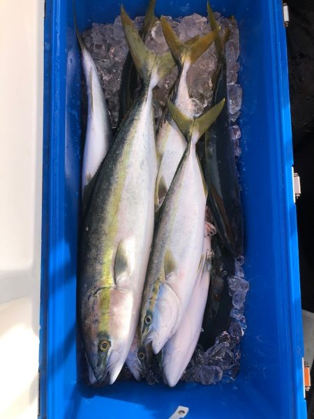 海龍丸(石川) 釣果