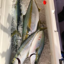 海龍丸(石川) 釣果