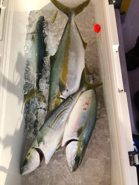 海龍丸(石川) 釣果