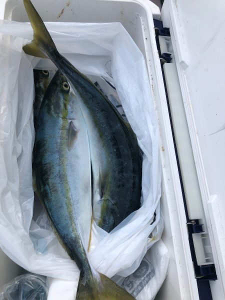 海龍丸(石川) 釣果