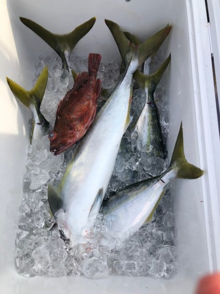 海龍丸(石川) 釣果