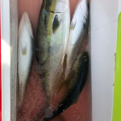 海龍丸(石川) 釣果