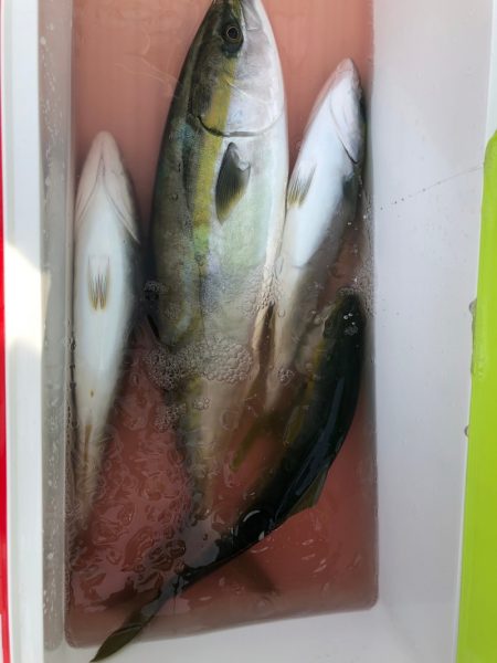 海龍丸(石川) 釣果