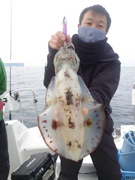 ソルトウォーターガイドフレンズ 釣果