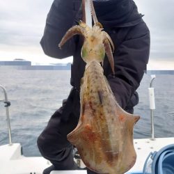 ソルトウォーターガイドフレンズ 釣果