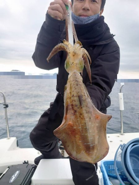 ソルトウォーターガイドフレンズ 釣果