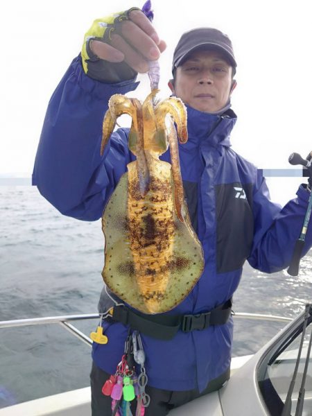 ソルトウォーターガイドフレンズ 釣果