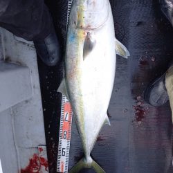 第二龍勢丸 釣果