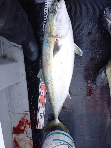 第二龍勢丸 釣果