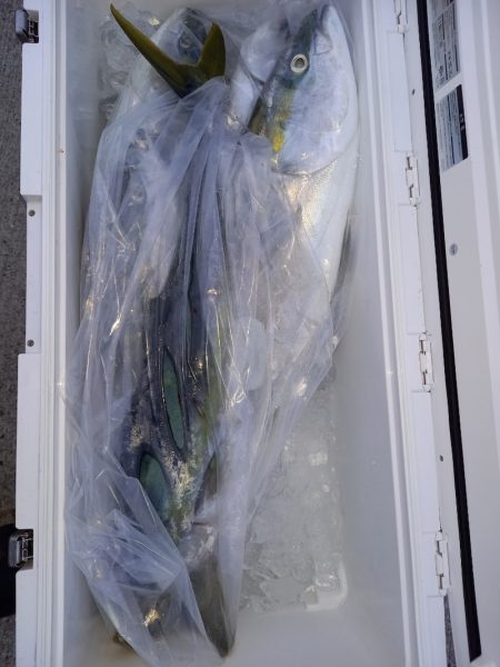 第二龍勢丸 釣果