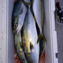 第二龍勢丸 釣果